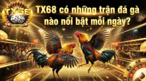 TX68 có những trận đá gà nào nổi bật mỗi ngày?