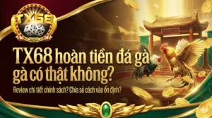 TX68 hoàn tiền đá gà có thật không? Review chi tiết chính sách