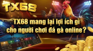 TX68 mang lại lợi ích gì cho người chơi đá gà online?