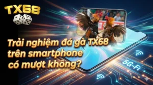Trải nghiệm đá gà TX68 trên smartphone có mượt không?
