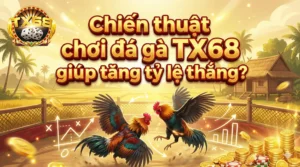 Chiến thuật chơi đá gà TX68 giúp tăng tỷ lệ thắng