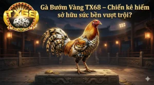 Gà Bướm Vàng TX68 – Chiến kê hiếm sở hữu sức bền vượt trội